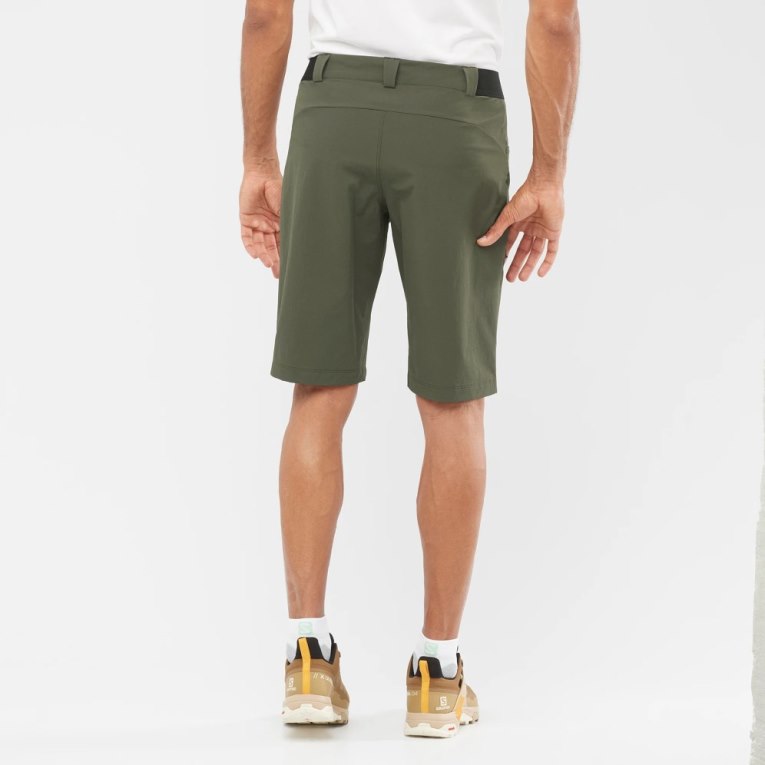 Olive Salomon Wayfarer Men's Shorts | PH 14789F